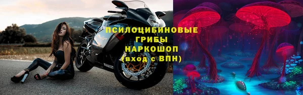 дурь Новодвинск
