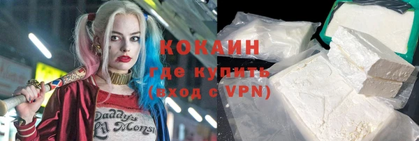 дурь Новодвинск