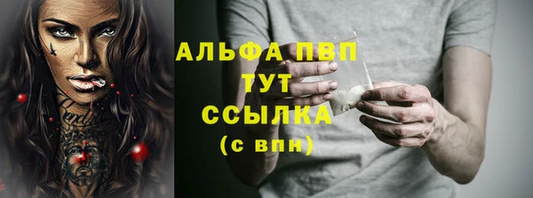 соль ск Новозыбков