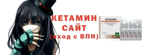 соль ск Новозыбков