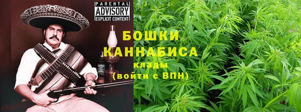 индика Вяземский