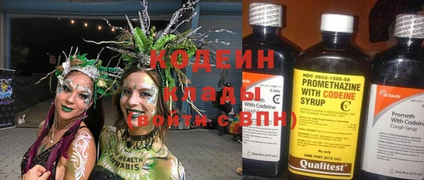 дурь Новодвинск
