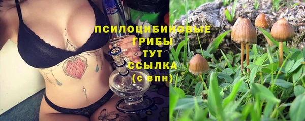 дурь Новодвинск