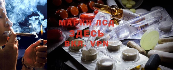 соль ск Новозыбков