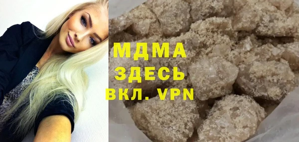 индика Вяземский