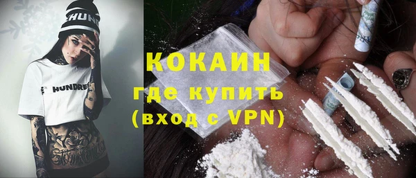 соль ск Новозыбков