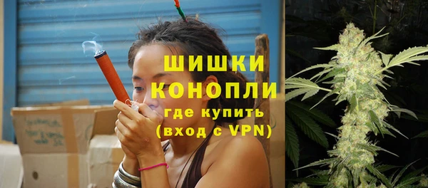 дурь Новодвинск