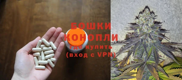 соль ск Новозыбков