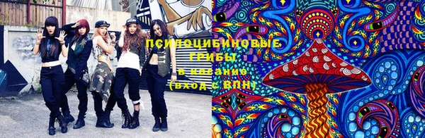 гидропоника Нея